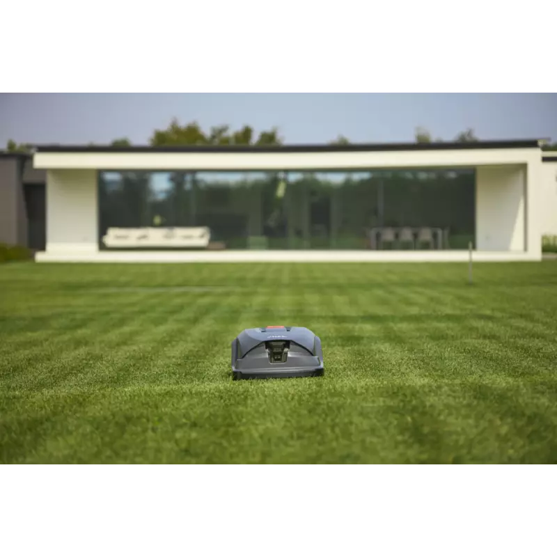 A50v_2R9113028_amb20_web